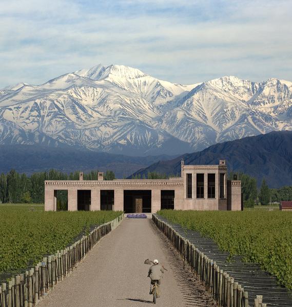 Mendoza, capitale du vin argentin! – Terroirs d'Ailleurs – Guide des vins  du monde